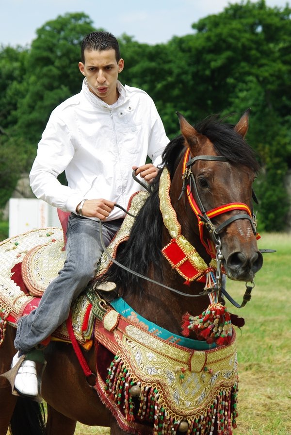 Le Moussem des Cultures 2008 098.jpg